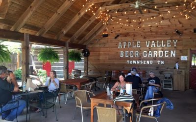 Apple Valley Grand Reopening Anniversary